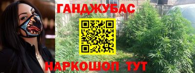 mdpv Краснознаменск