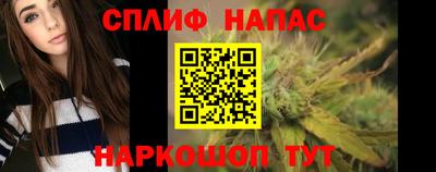 mdpv Краснознаменск