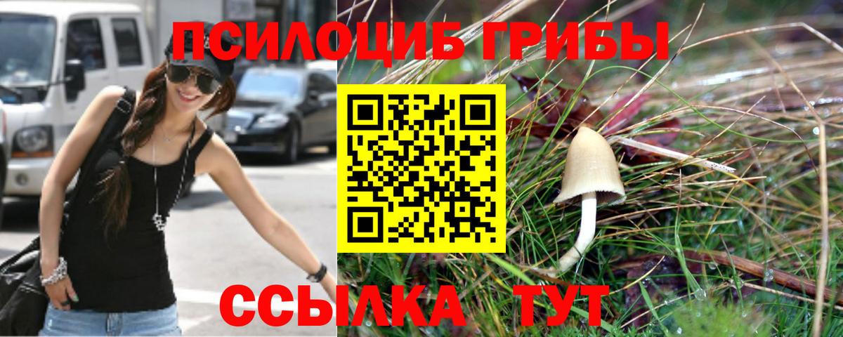 Галлюциногенные грибы Cubensis Кемерово